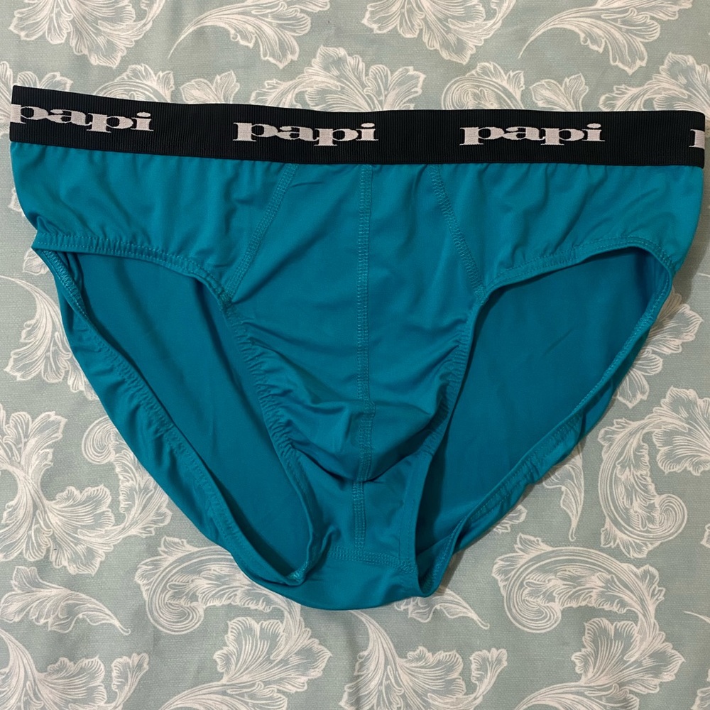 Papi Teal Briefs